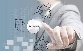 注冊公司前必須熟知的6個方面 知識產權服務與財稅規劃